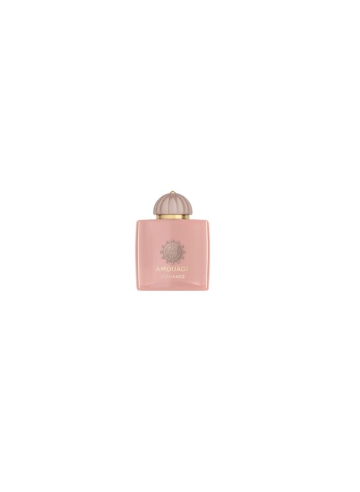 Amouage Guidance Edp 100ml