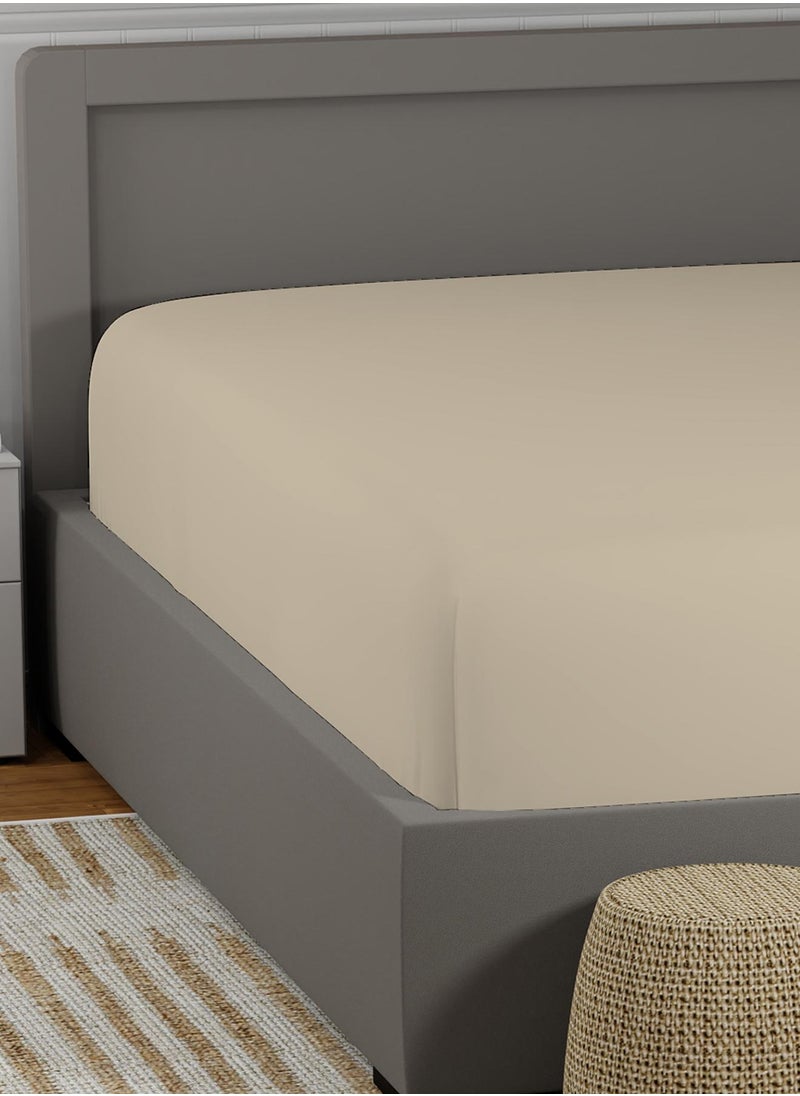 Color Sense 300 TC Sateen  Fitted Sheet Beige