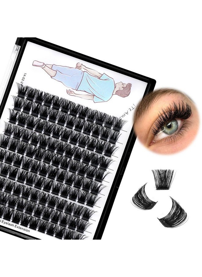 Dedila Large Tray-Grafted Wide Stem Individual False Eyelashes Thick Base 120 Clusters D Curl Natural Long Volume Eye Lashes Extensions Dramatic Look 8-20mm Available (16mm)