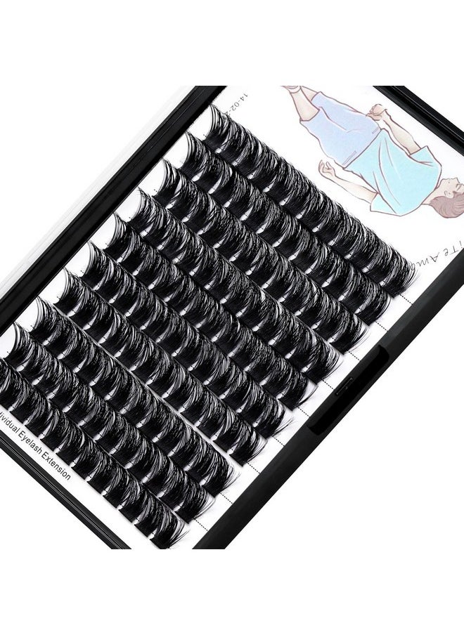 Dedila Large Tray-Grafted Wide Stem Individual False Eyelashes Thick Base 120 Clusters D Curl Natural Long Volume Eye Lashes Extensions Dramatic Look 8-20mm Available (16mm)