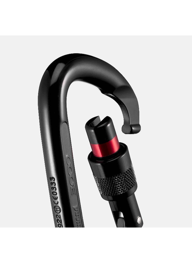 SCREWGATE CARABINER 3000 SECURE - BLACK