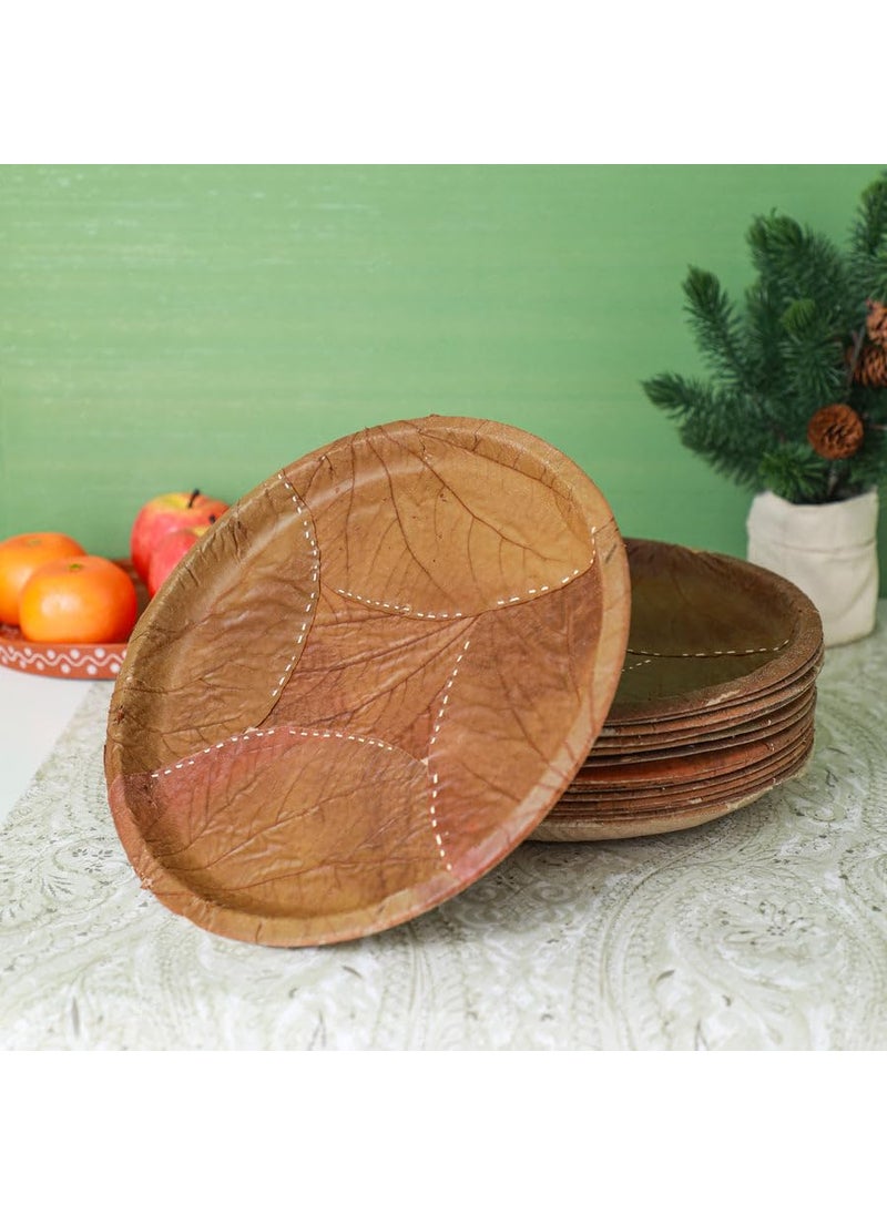 GARDENOPOLIS Sal Leaf Plates Use Dispose Eco Friendly Natural Material No Harmful ChemicalsResins Traditional Indian Serveware Single Compartment 50 Plates