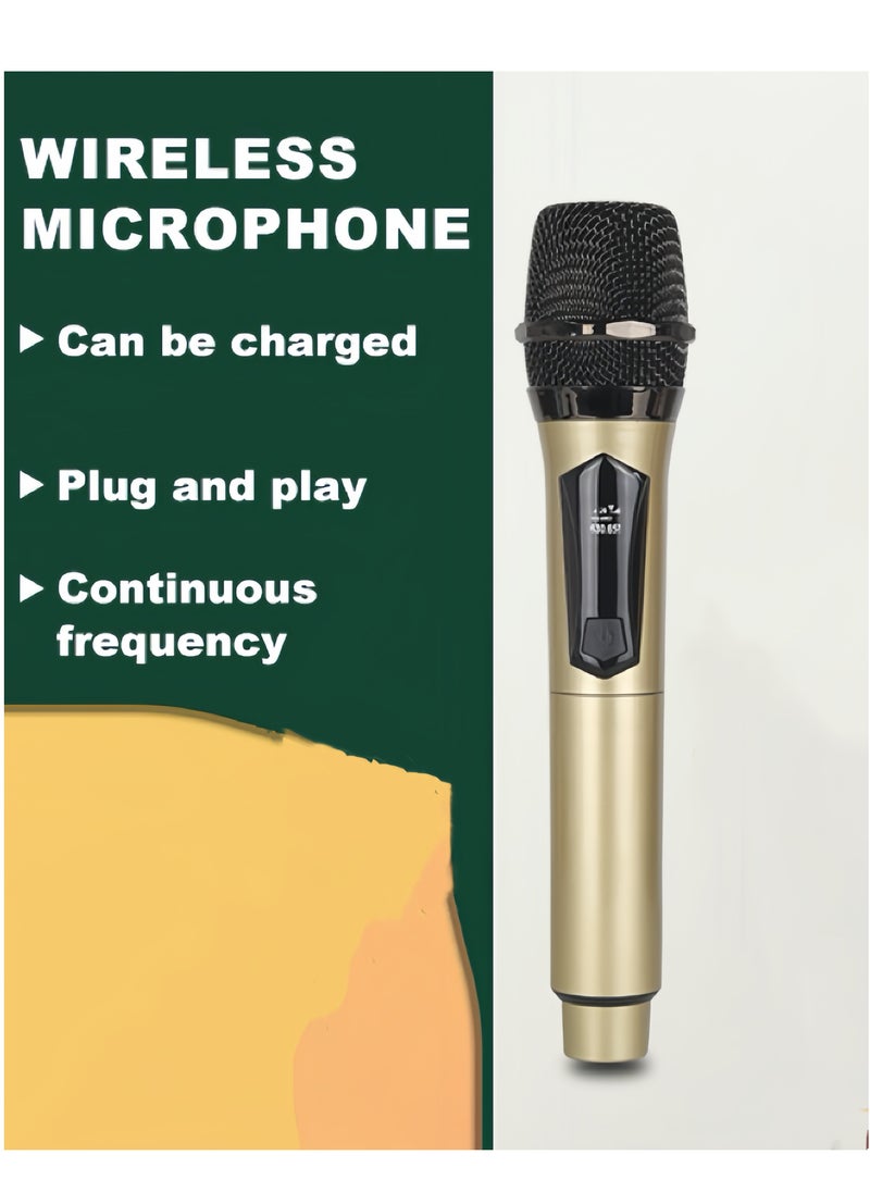 2-Piece Wireless Microphone Set,  Black/Gold