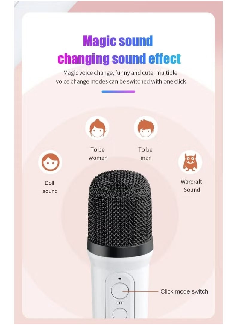 YS-110 Wireless Lightshow Speaker With Microphone