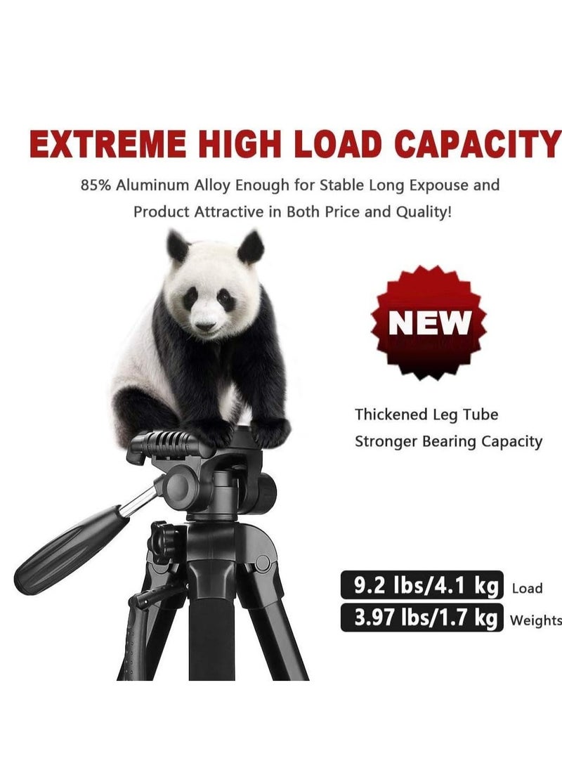 Jmary KP-2264 Professional Aluminium Tripod Monopod for All DSLR Cameras (Black)