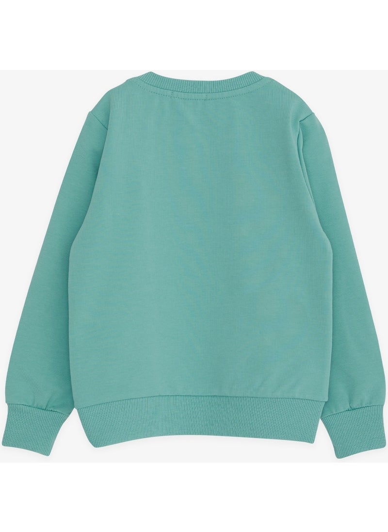 Boy's Sweatshirt Text Printed, Age 2-6, Mint Green