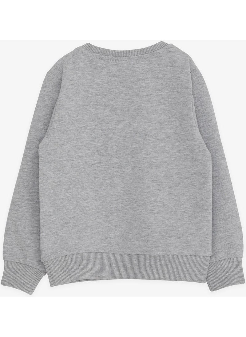 Boy's Sweatshirt Text Printed, Age 2-6, Gray Melange