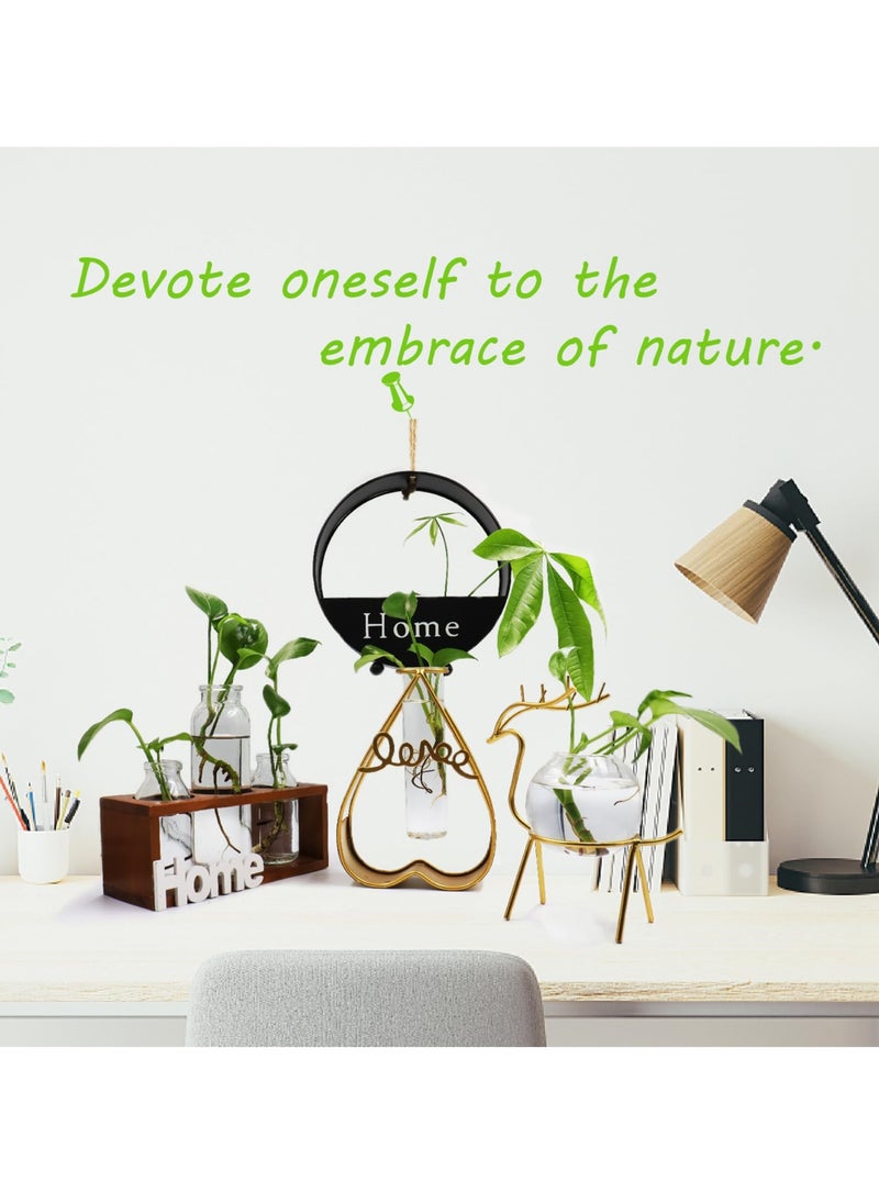 Air Plant Terrarium with Metal Stand for Desktop - Glass Vase for Indoor Hydroponics, Ideal for Home Garden and Office Decor