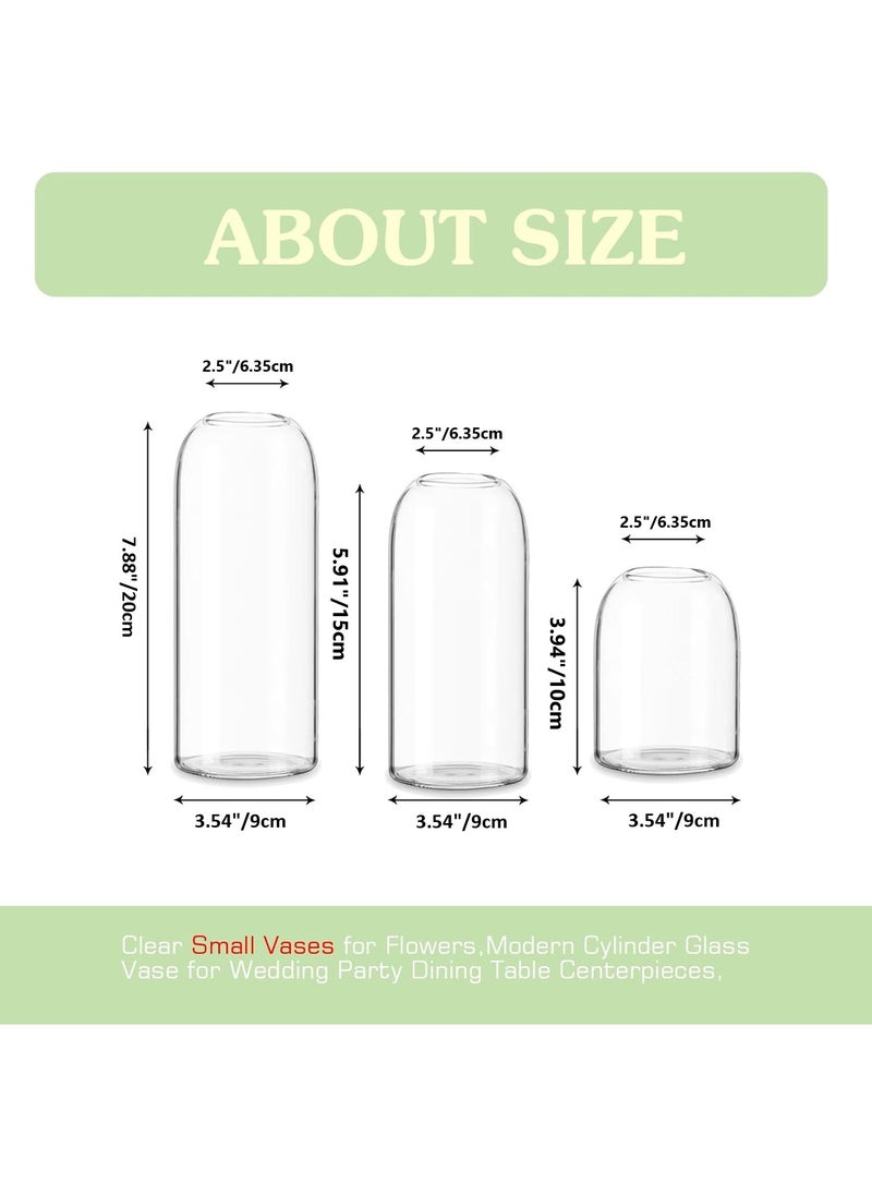 Set of 6 Modern Cylinder Glass Vase for Wedding Party Dining Table Centrepieces Living Room Decorative Home Décor