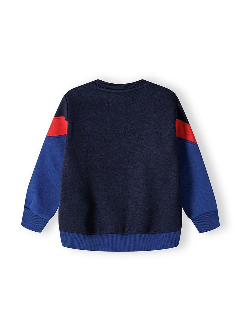 Boys Cotton Sweatshirt And Jogpant Set