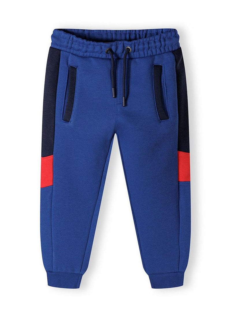 Boys Cotton Sweatshirt And Jogpant Set