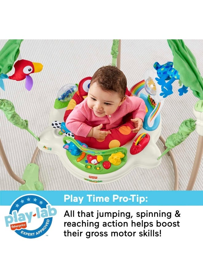Fisher-Price Rainforest Jumperoo
