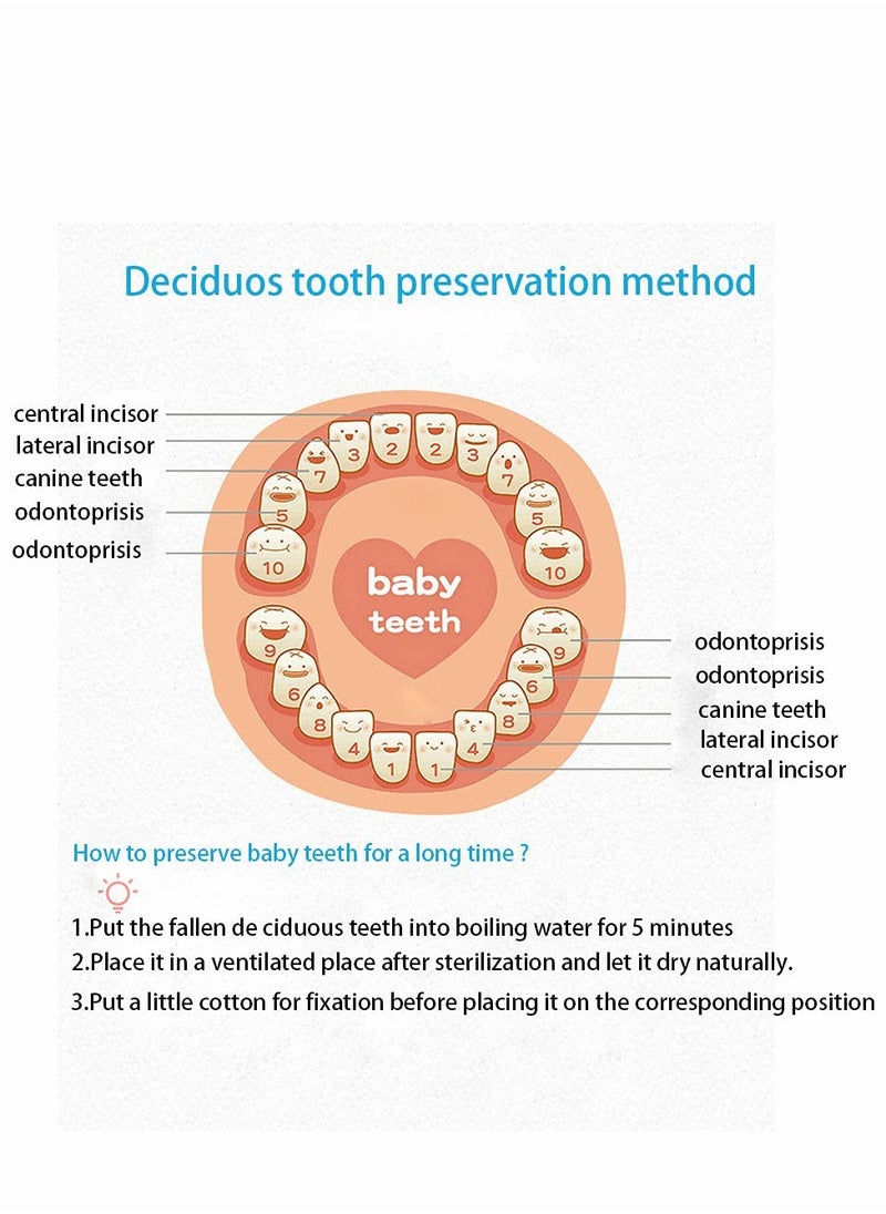 Tooth Box, Personality Wooden Kids Keepsake Organizer for Baby Teeth and Hair Photo, Shower & Birthday Gift, Storage Memory
