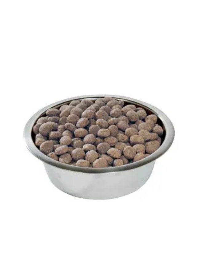 Pro Plan Everyday Nutrition Large Robust Adult with Chicken14 kg