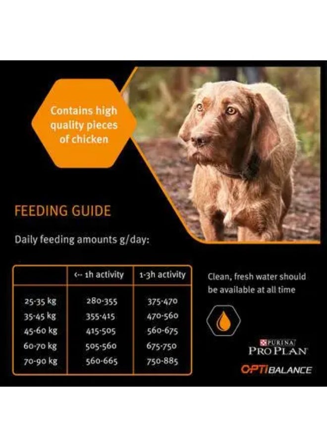 Pro Plan Everyday Nutrition Large Robust Adult with Chicken14 kg