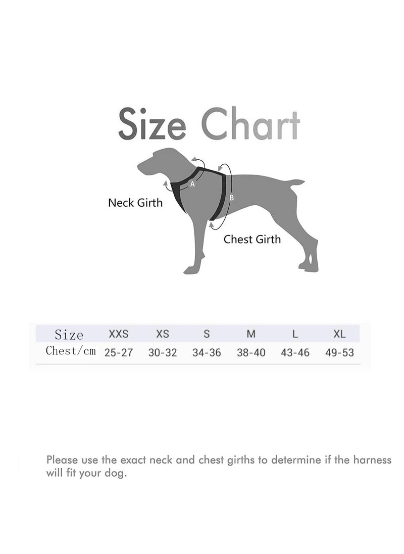 Step-in Air Dog Harness and Leash No Pull, Reflective Breathable Pet Harness, Adjustable Comfortable Soft Padded Vest Easy Control for Puppy Small Medium Dogs Cats, Black L