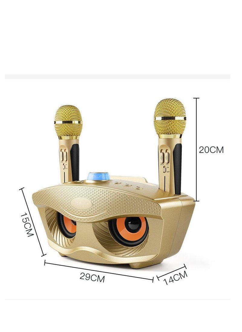Wireless Bluetooth Speaker With 2-Piece Mic Black