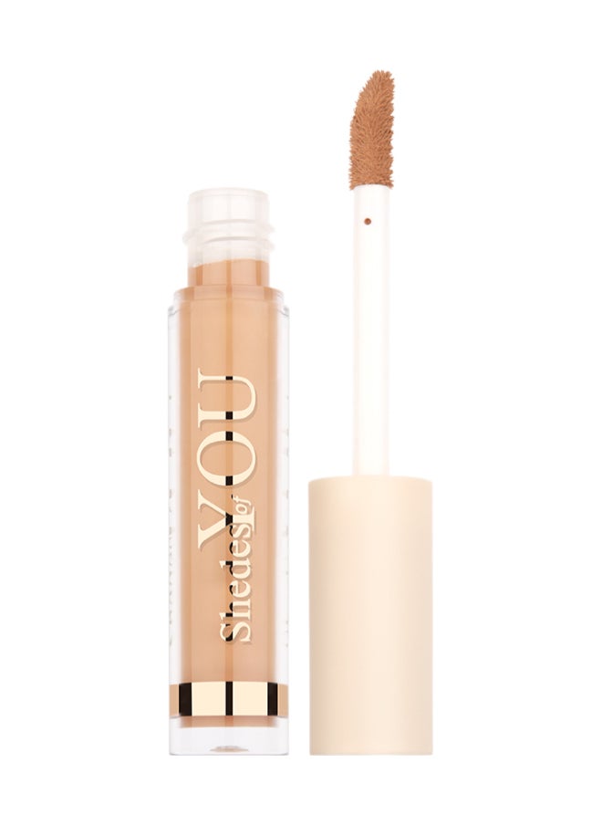 Shedes Of You Concealer