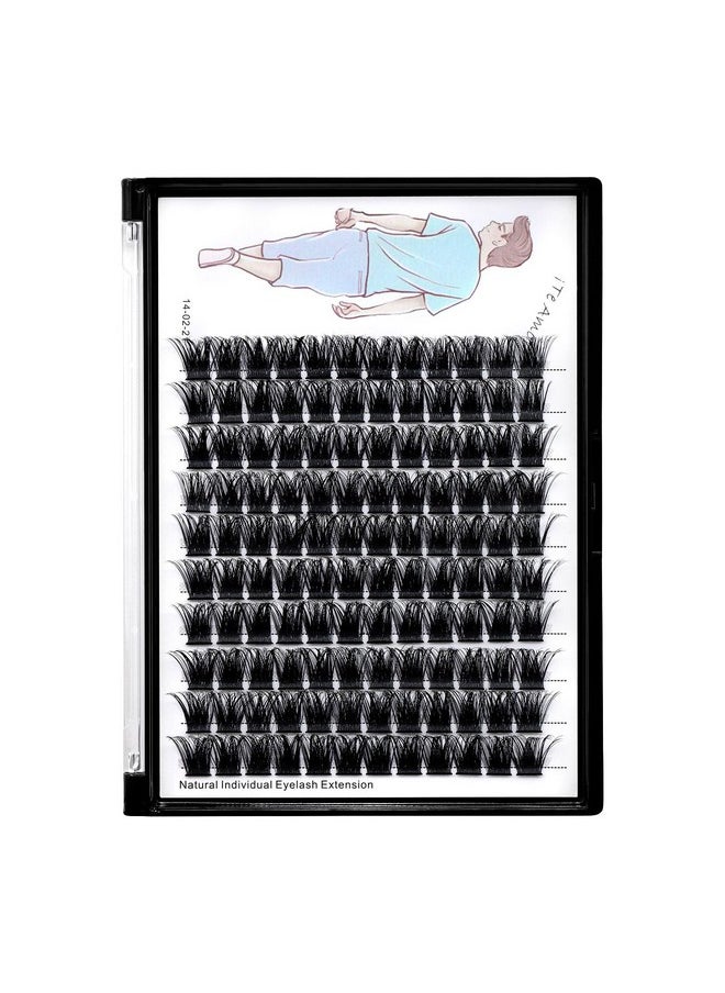 Dedila Large Tray-Grafted Wide Stem Individual False Eyelashes Thick Base 120 Clusters D Curl Natural Long Volume Eye Lashes Extensions Dramatic Look 8-20mm Available (14mm)