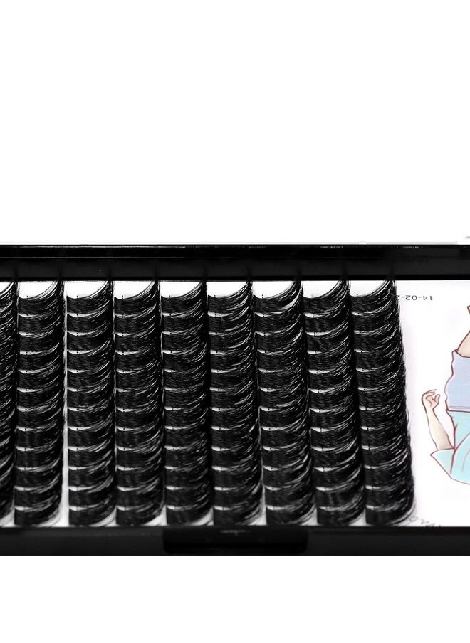 Dedila Large Tray-Grafted Wide Stem Individual False Eyelashes Thick Base 120 Clusters D Curl Natural Long Volume Eye Lashes Extensions Dramatic Look 8-20mm Available (14mm)