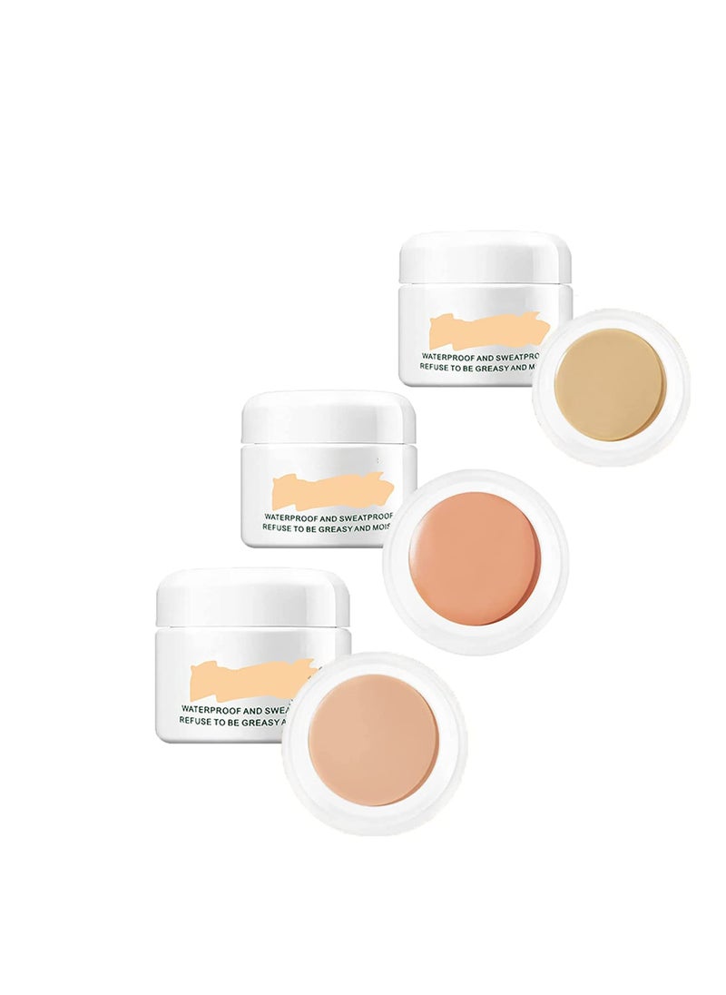 Long Lasting Waterproof Concealer, Full Coverage Moisturizing Contour and Brighten, Face Concealer, Foundation Concealer, Cover Acne Marks Scars Under Eye Concealer, for Dark Circles, 3 Colors