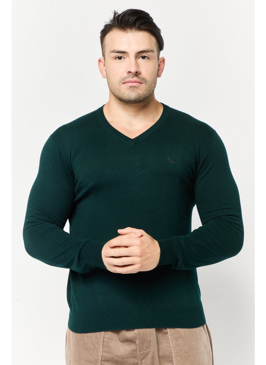 Men V Neck Long Sleeve Brand Logo Sweater, Green