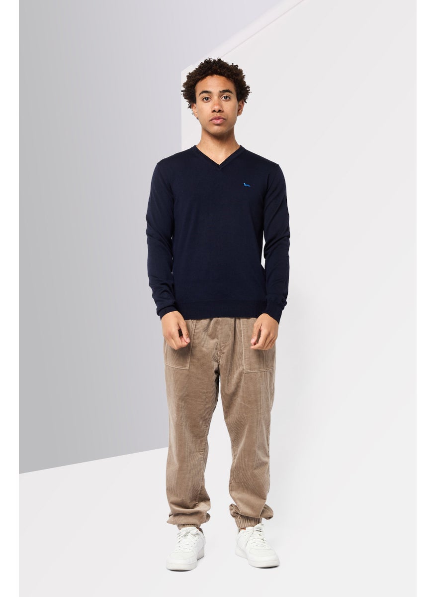 Men V-Neck Long Sleeves Embroidered Logo Sweater, Navy