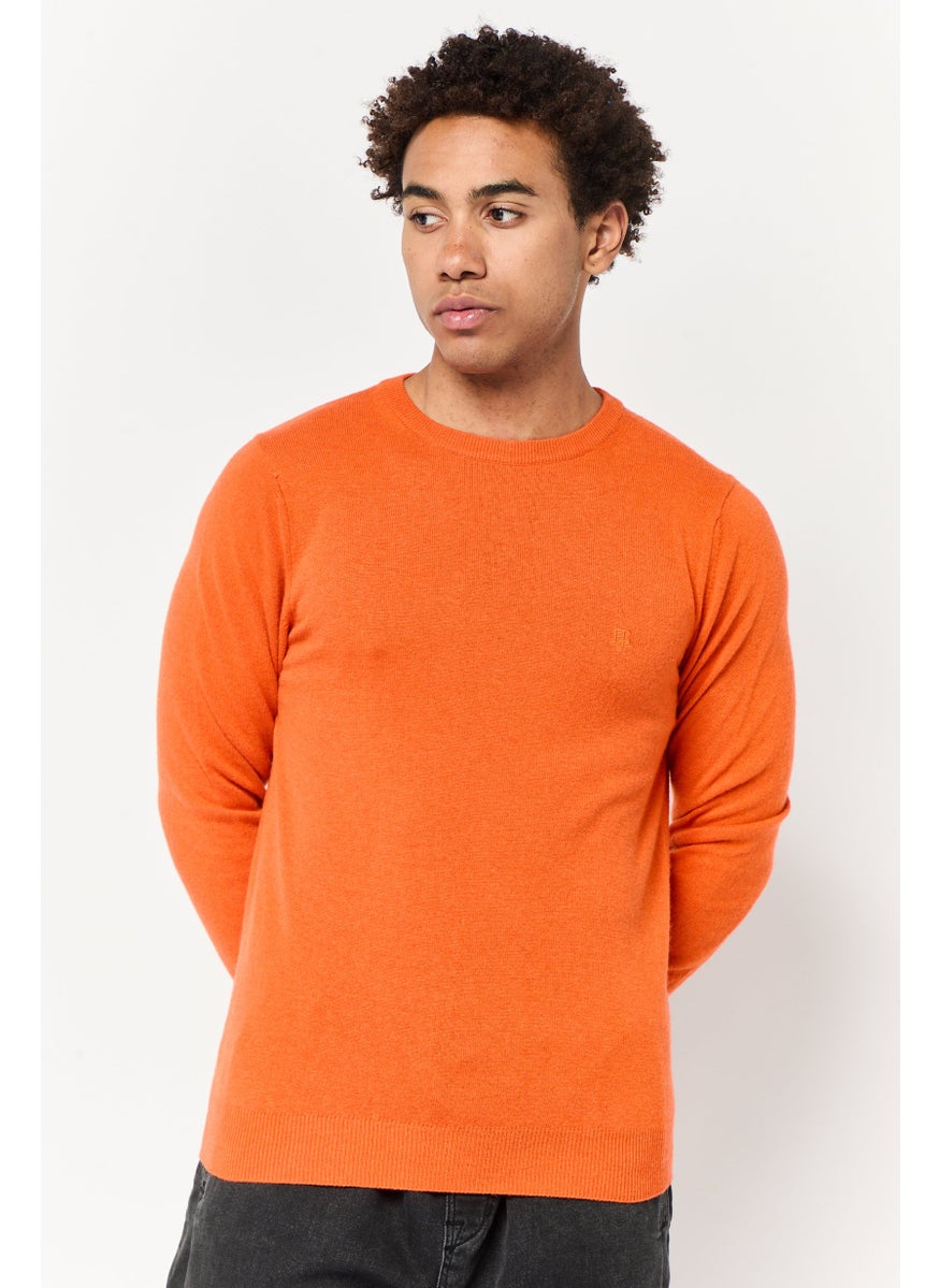 Men Crew Neck Long Sleeves Embroidered Logo Sweater, Orange