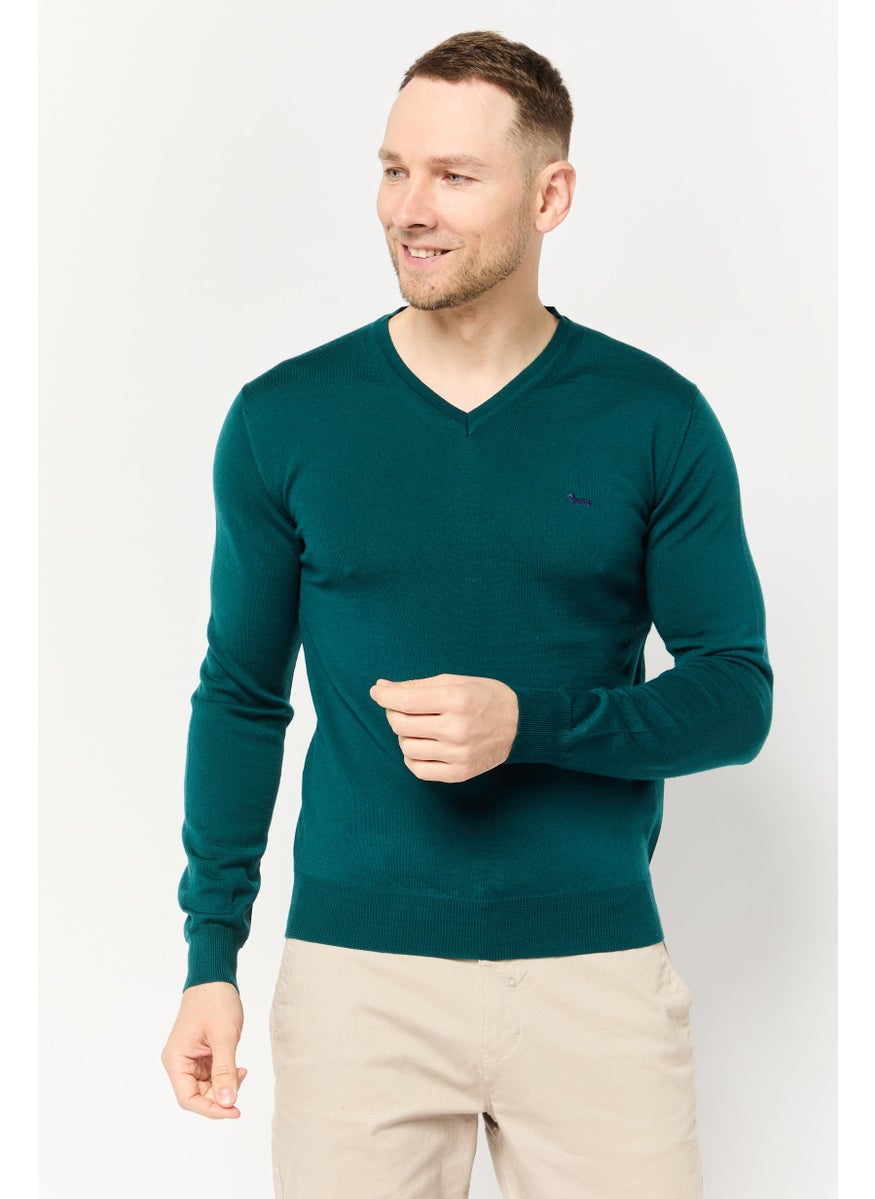 Men V-Neck Embroidered Logo Sweater, Green