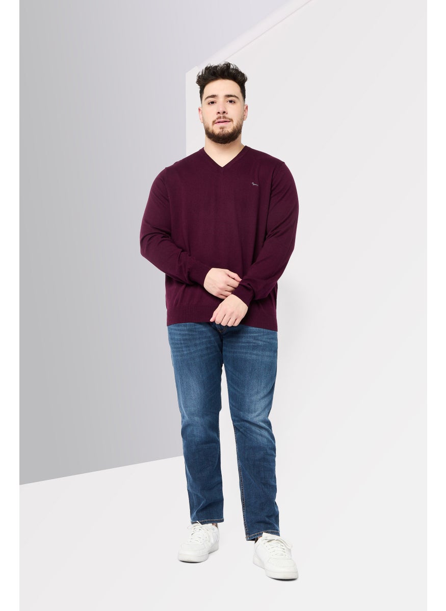Men V Neck Embroidered Logo Sweater, Burgundy