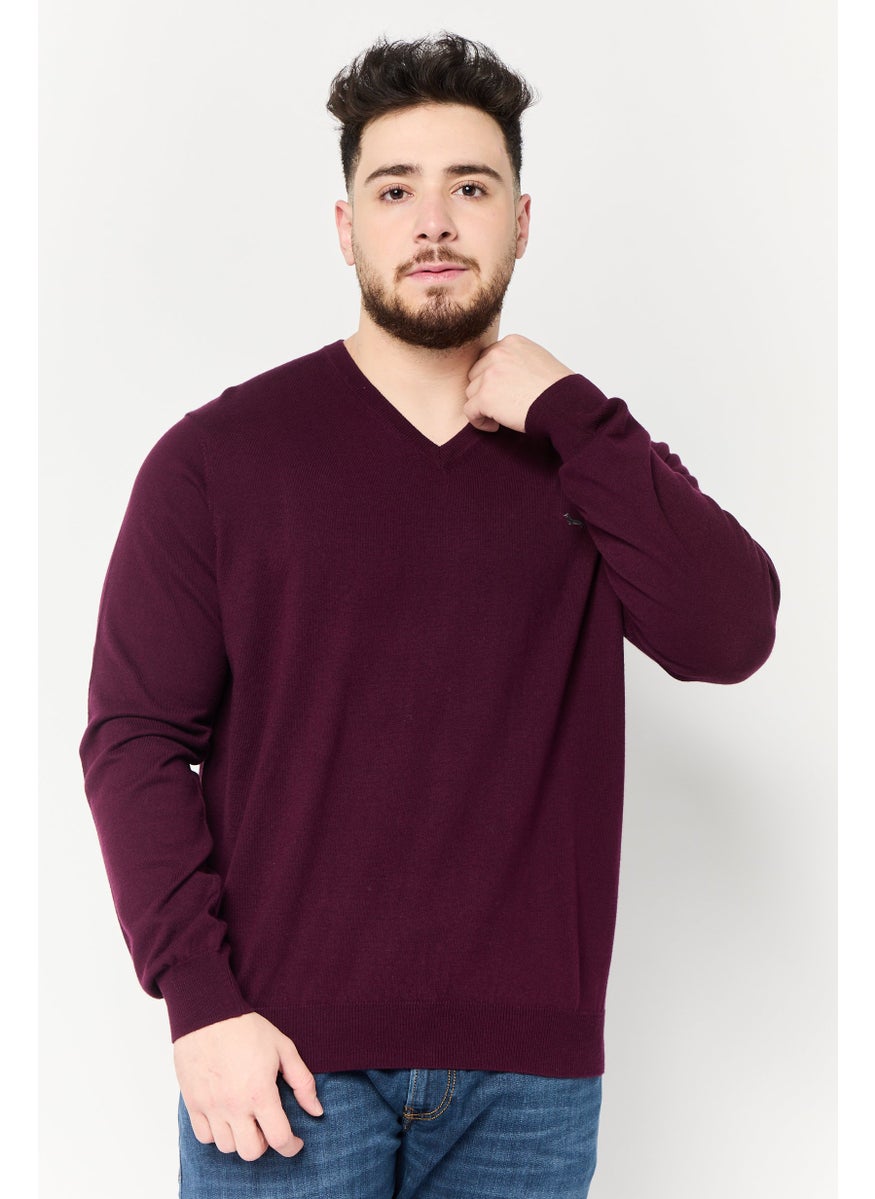 Men V Neck Embroidered Logo Sweater, Burgundy