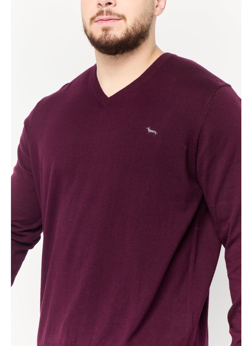 Men V Neck Embroidered Logo Sweater, Burgundy