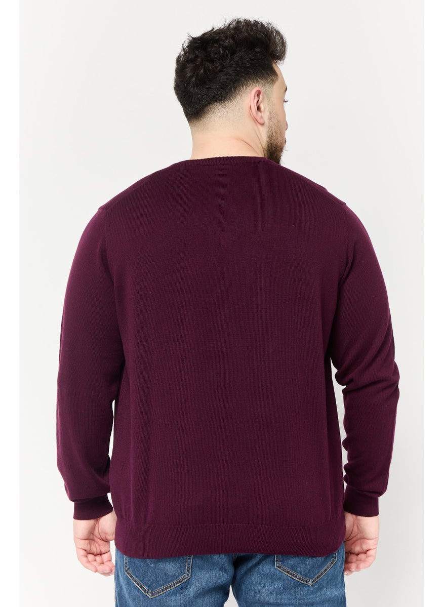 Men V Neck Embroidered Logo Sweater, Burgundy