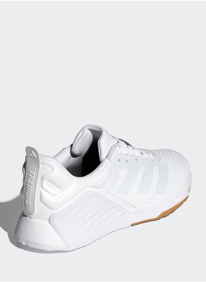 Dropset 3 Trainer