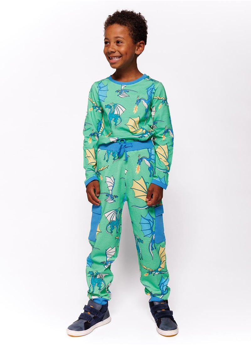Pants with flying dragons