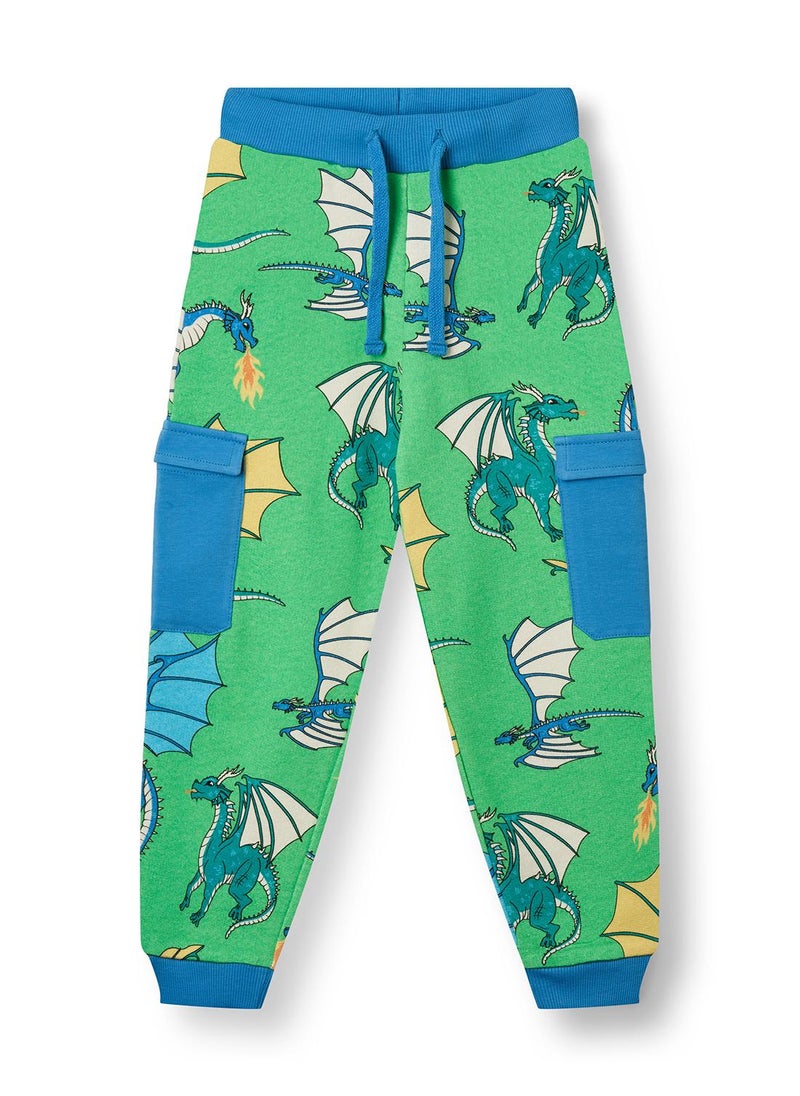 Pants with flying dragons