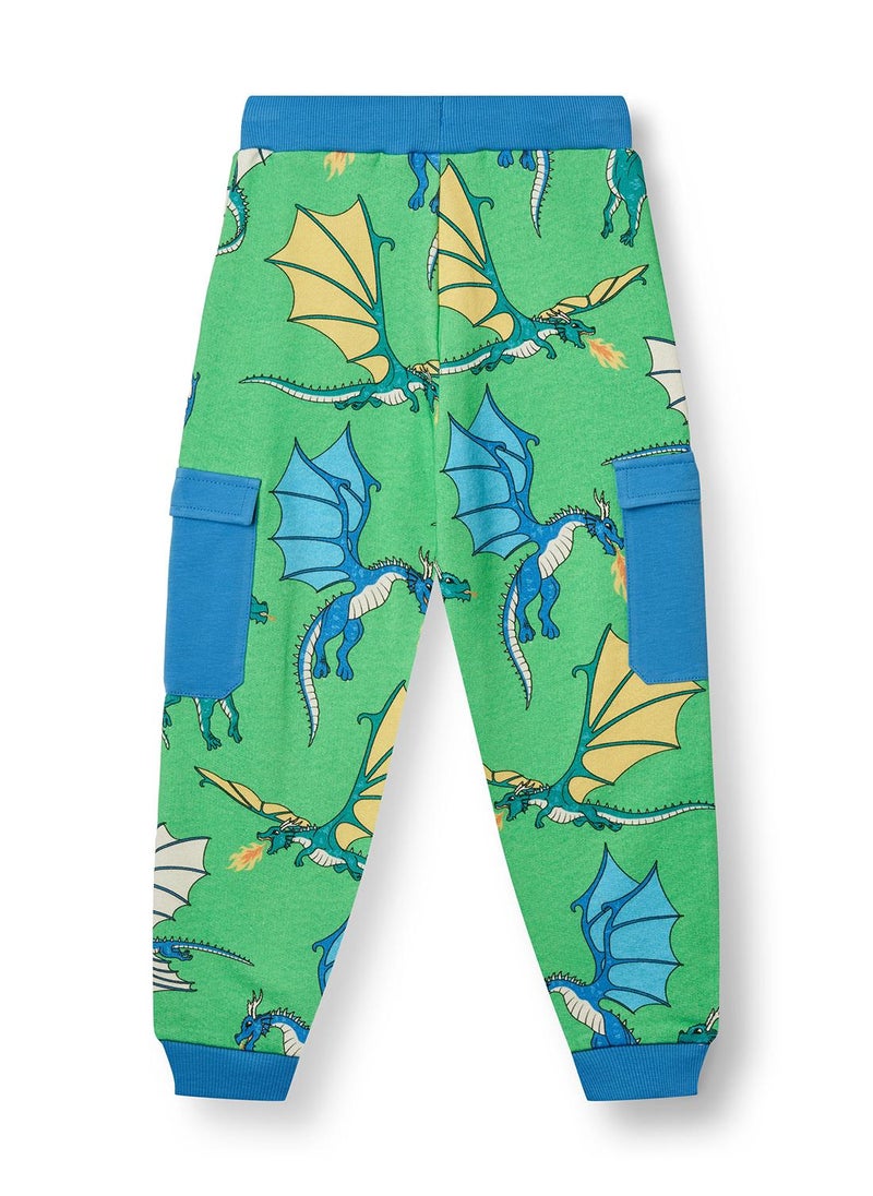 Pants with flying dragons