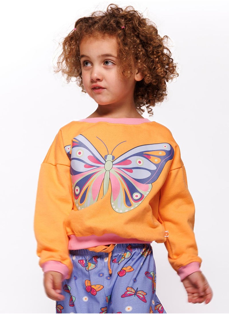 Sweatshirt with butterfly