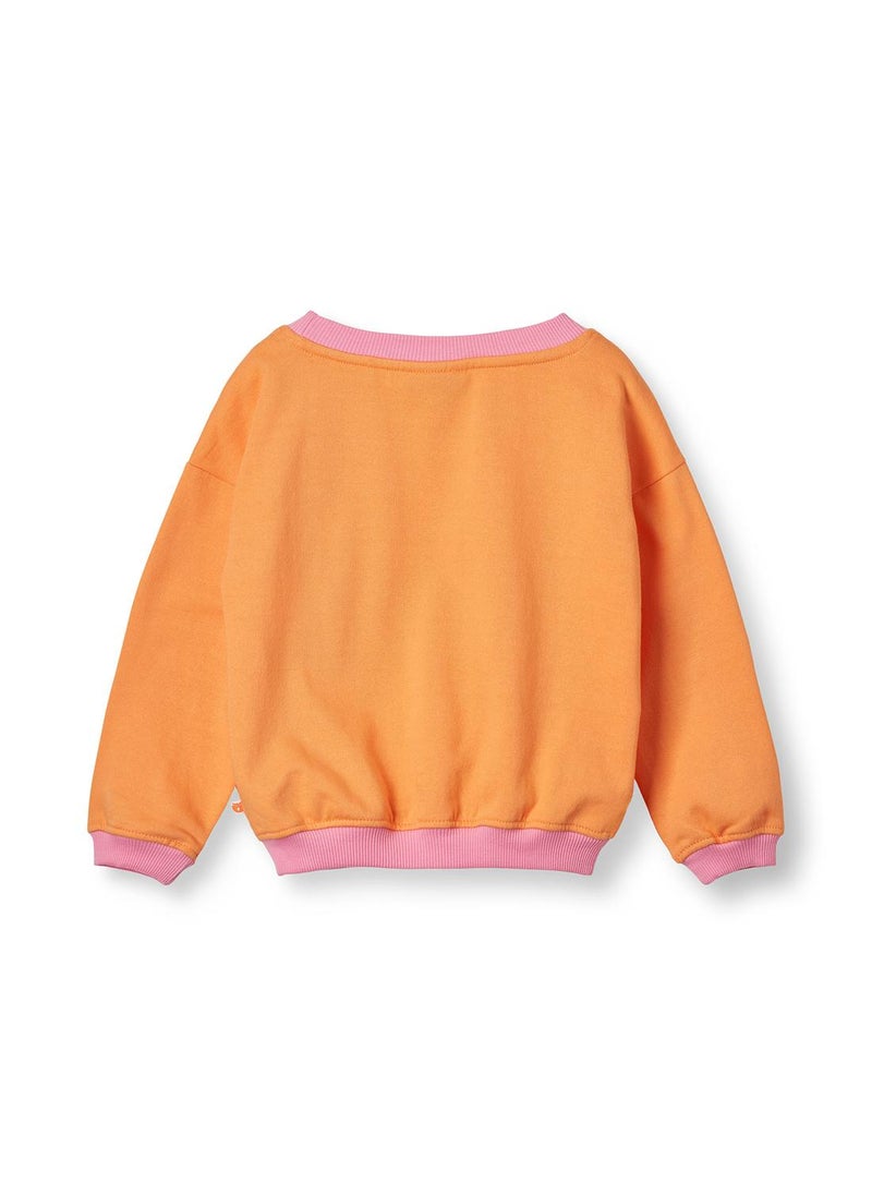 Sweatshirt with butterfly