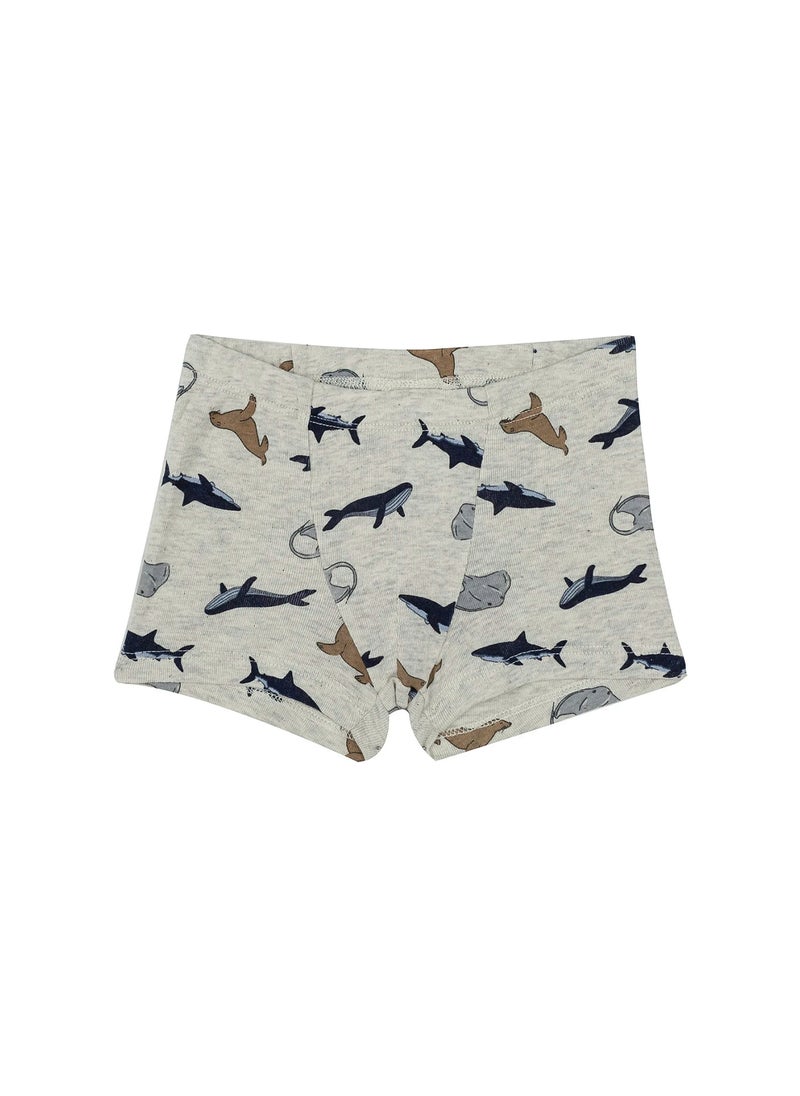 Fish and Fun Print Boxers