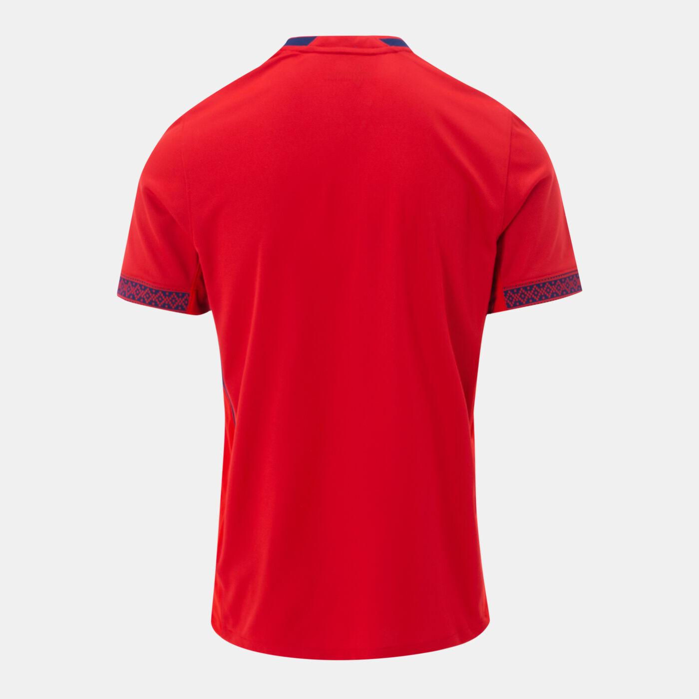 Men's Norway 2025 Home Replica Football Jersey (Women's Team)