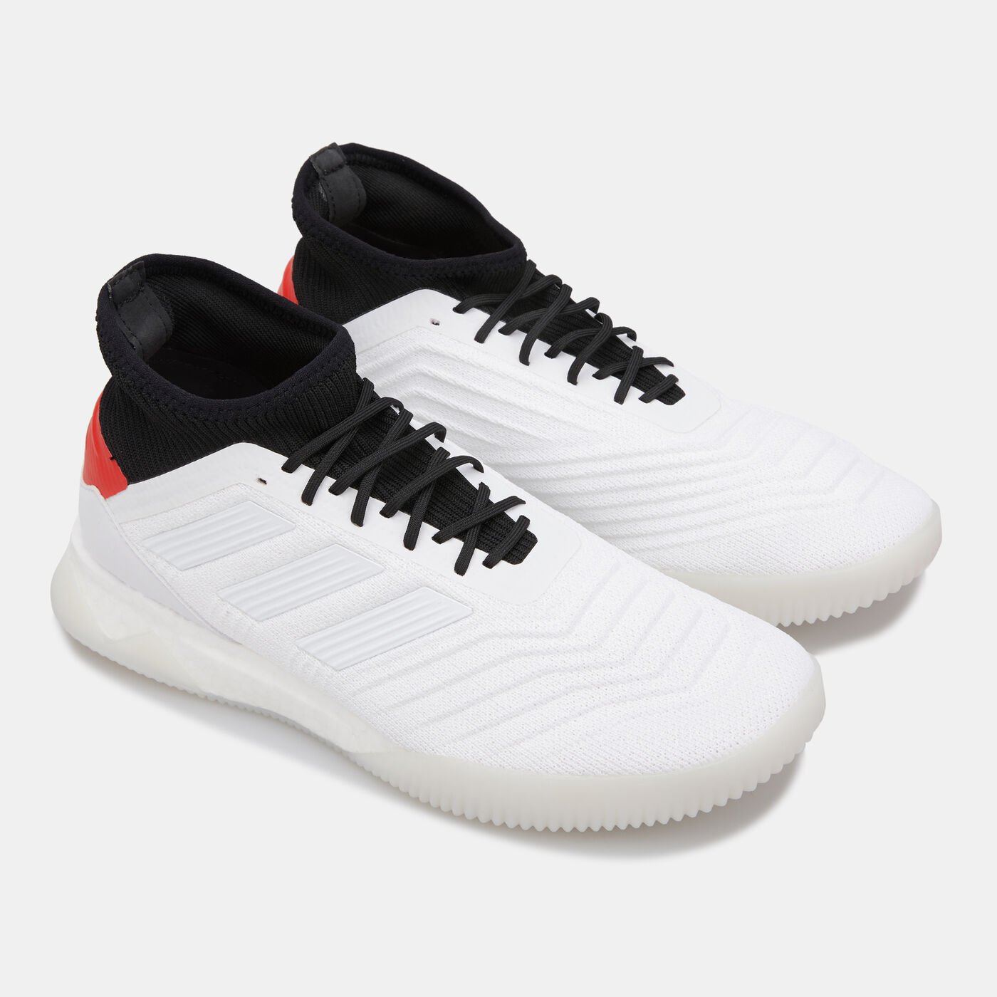 Men's Predator 19.1 Shoe