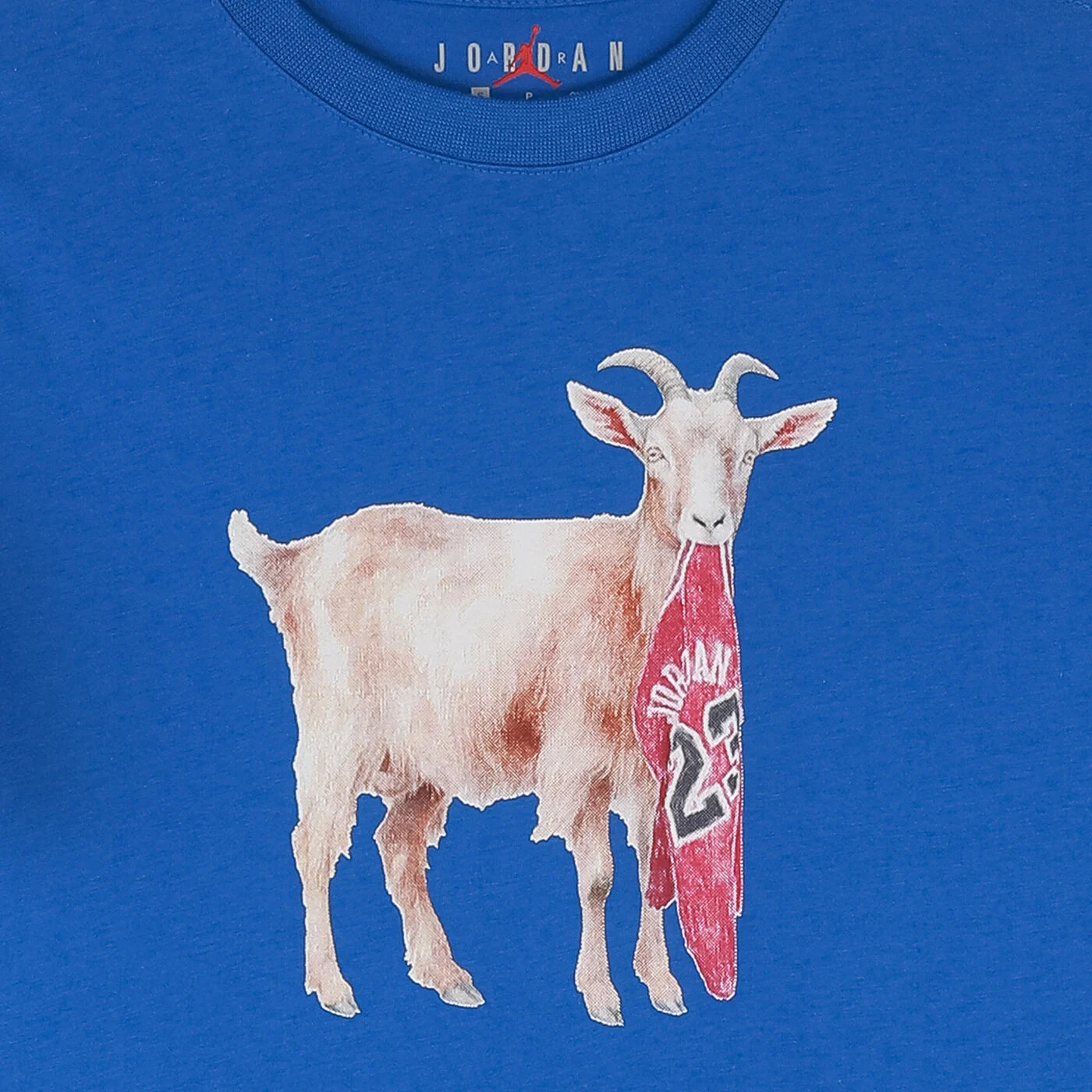 Kids' MJ Flight Goat T-Shirt