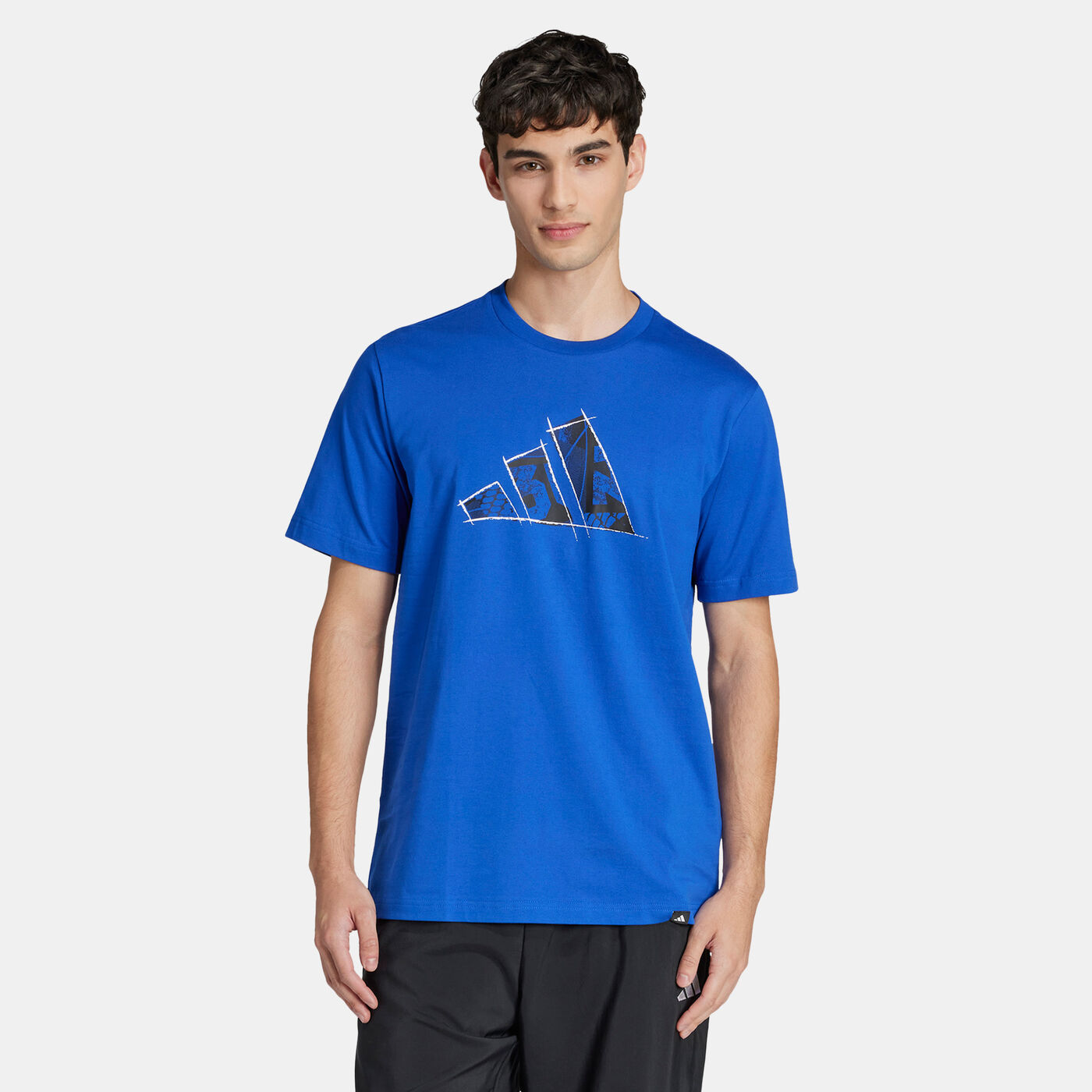 Men's Graphic T-Shirt