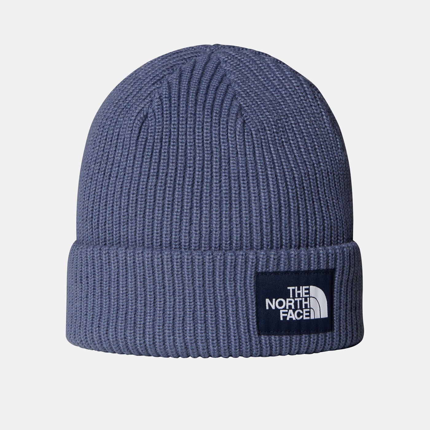 Salty Lined Beanie