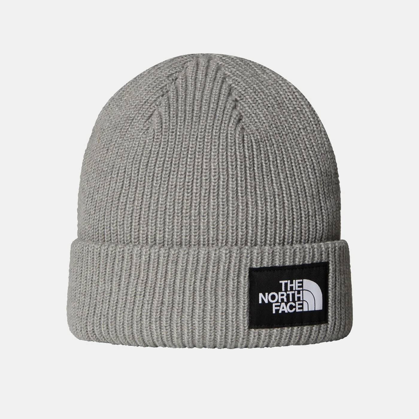 Salty Lined Beanie