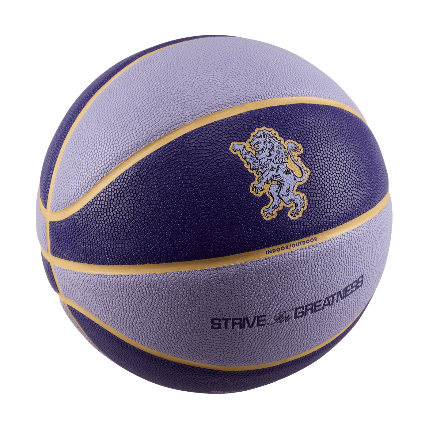 LeBron James All-Court 8P 2.0 Basketball