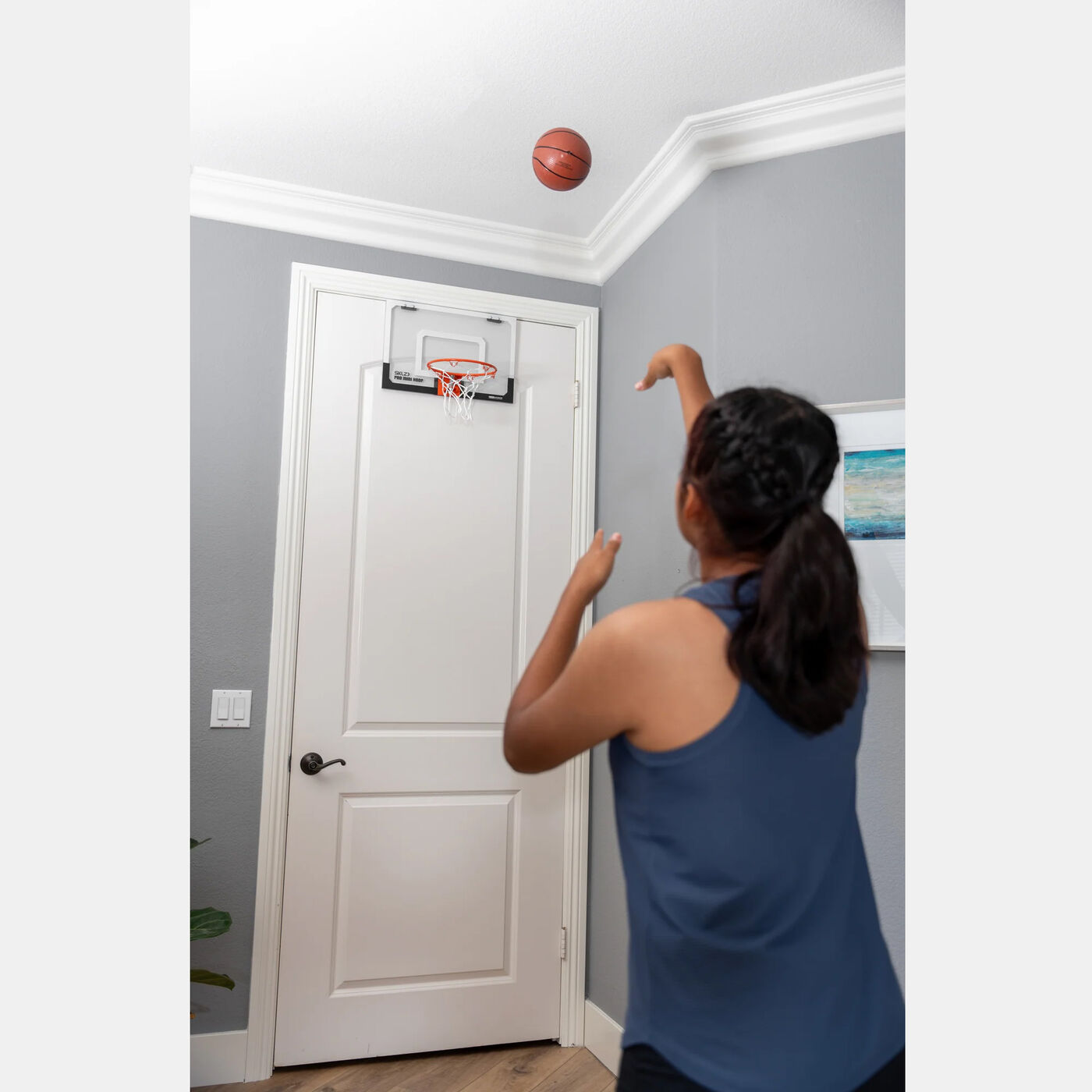 Pro Mini Basketball Hoop