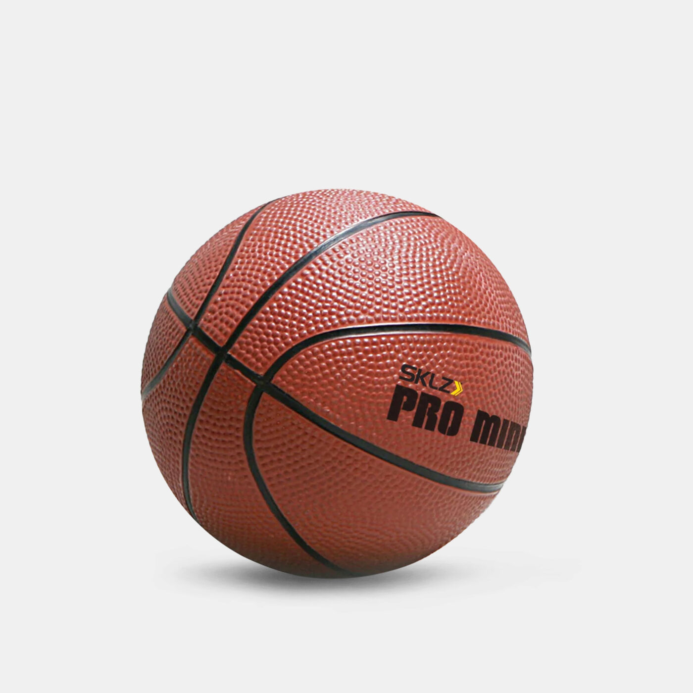 Pro Mini Basketball Hoop