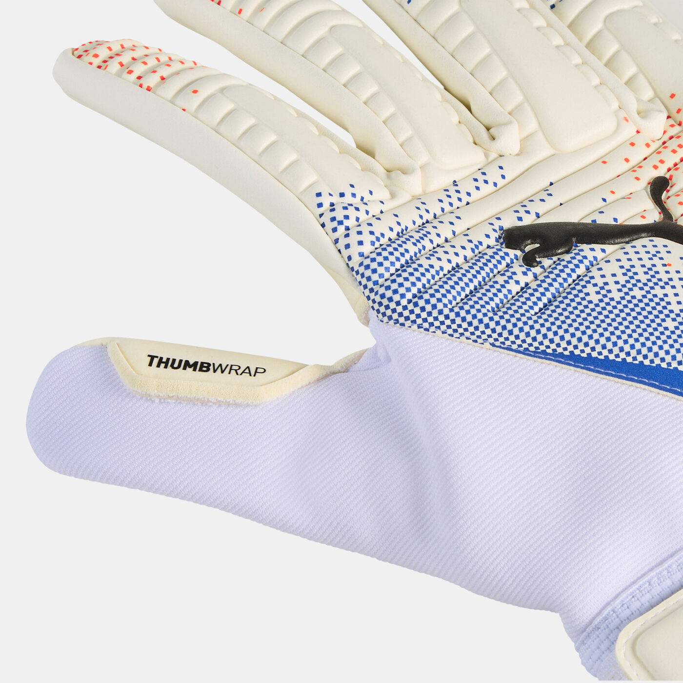 Kids' FUTURE Match NC Football Goalkeeper Gloves